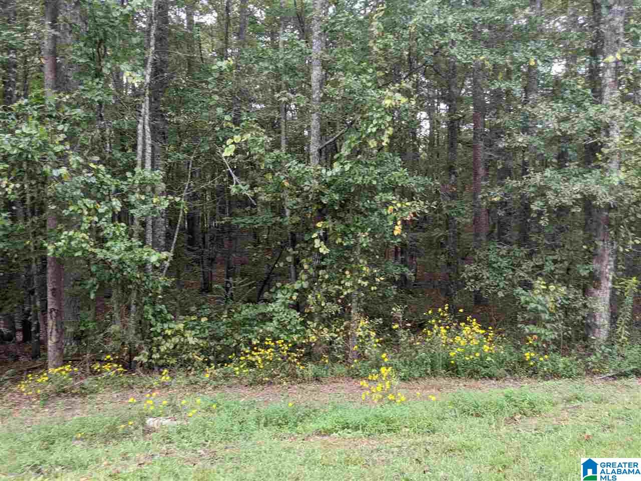 0 Smith Avenue, Unit 3 2 Anniston, AL 36207 - Photo 16 of 43