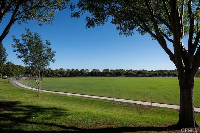 a street view with a yard