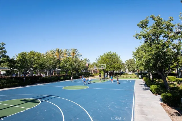 a view of a park with a large trees
