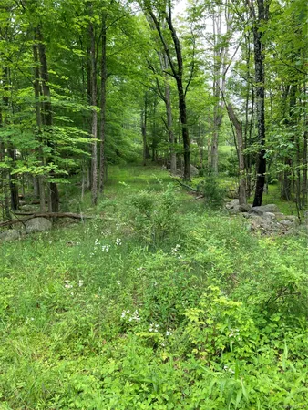 a big yard with lots of green space and deers