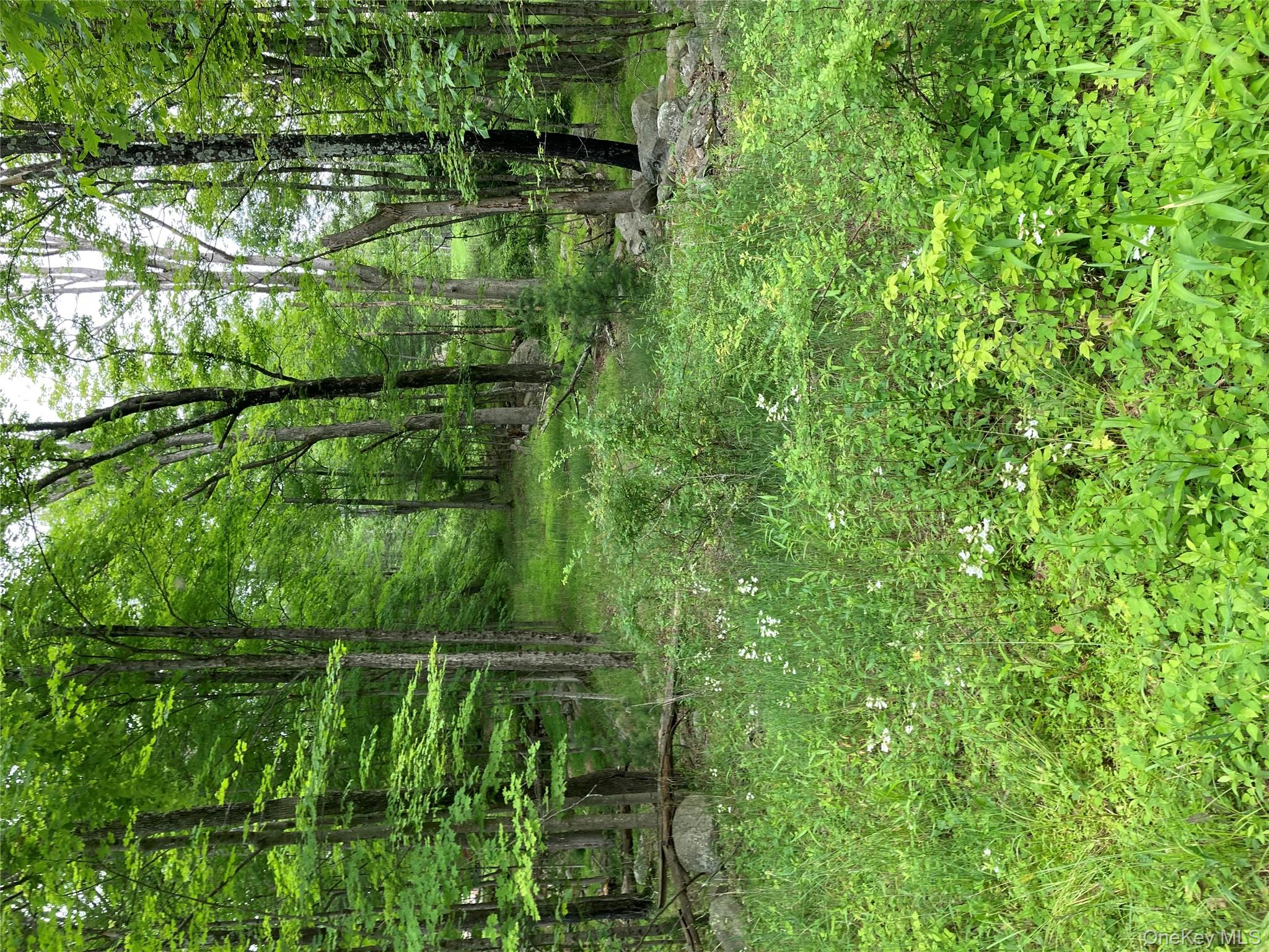a big yard with lots of green space and deers