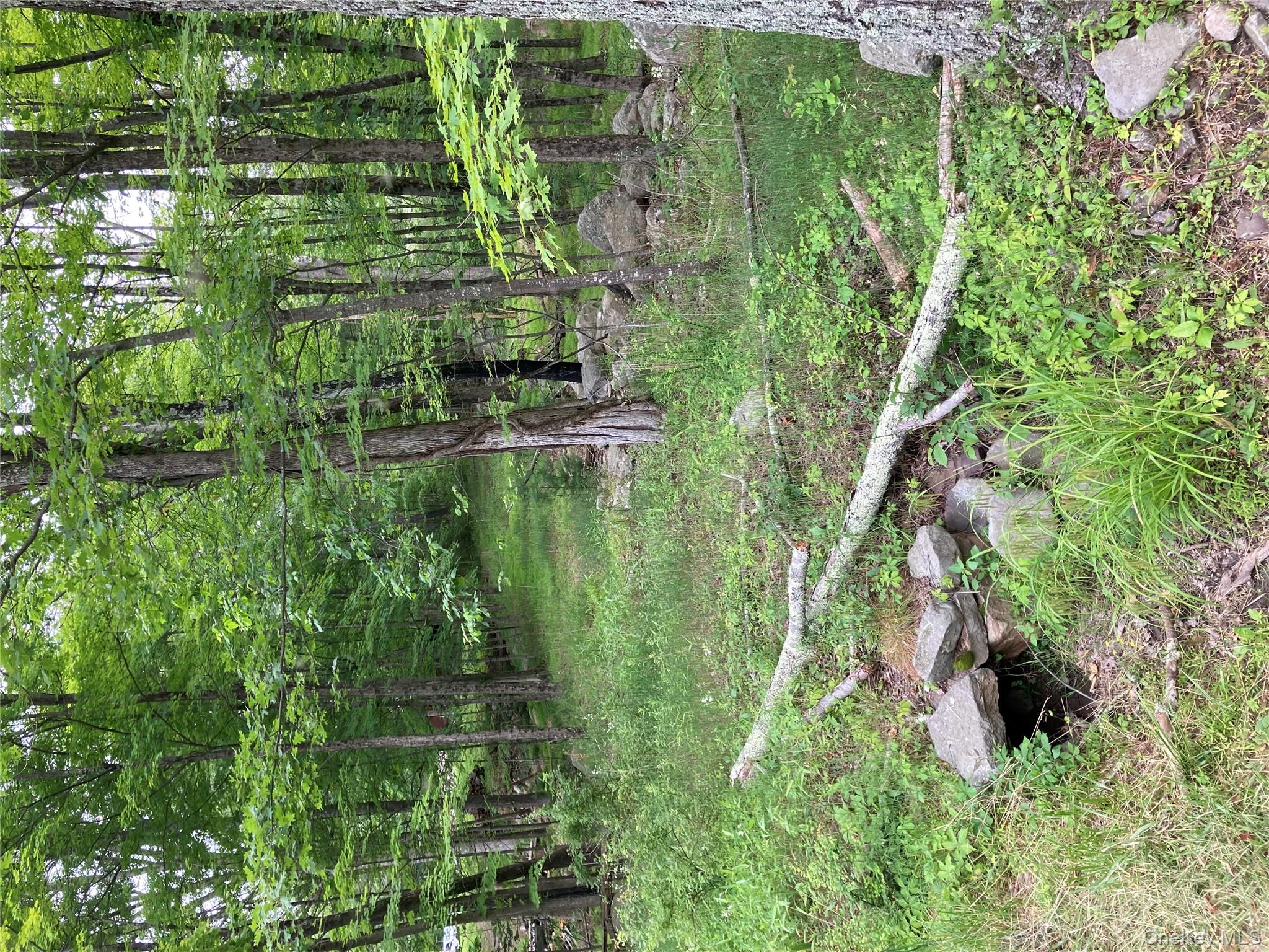 287 Church Road Pine Bush, NY 12566 - Photo 2 of 9 a backyard of a house with lots of green space