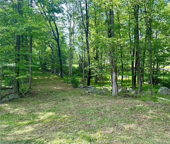 a view of outdoor space with trees