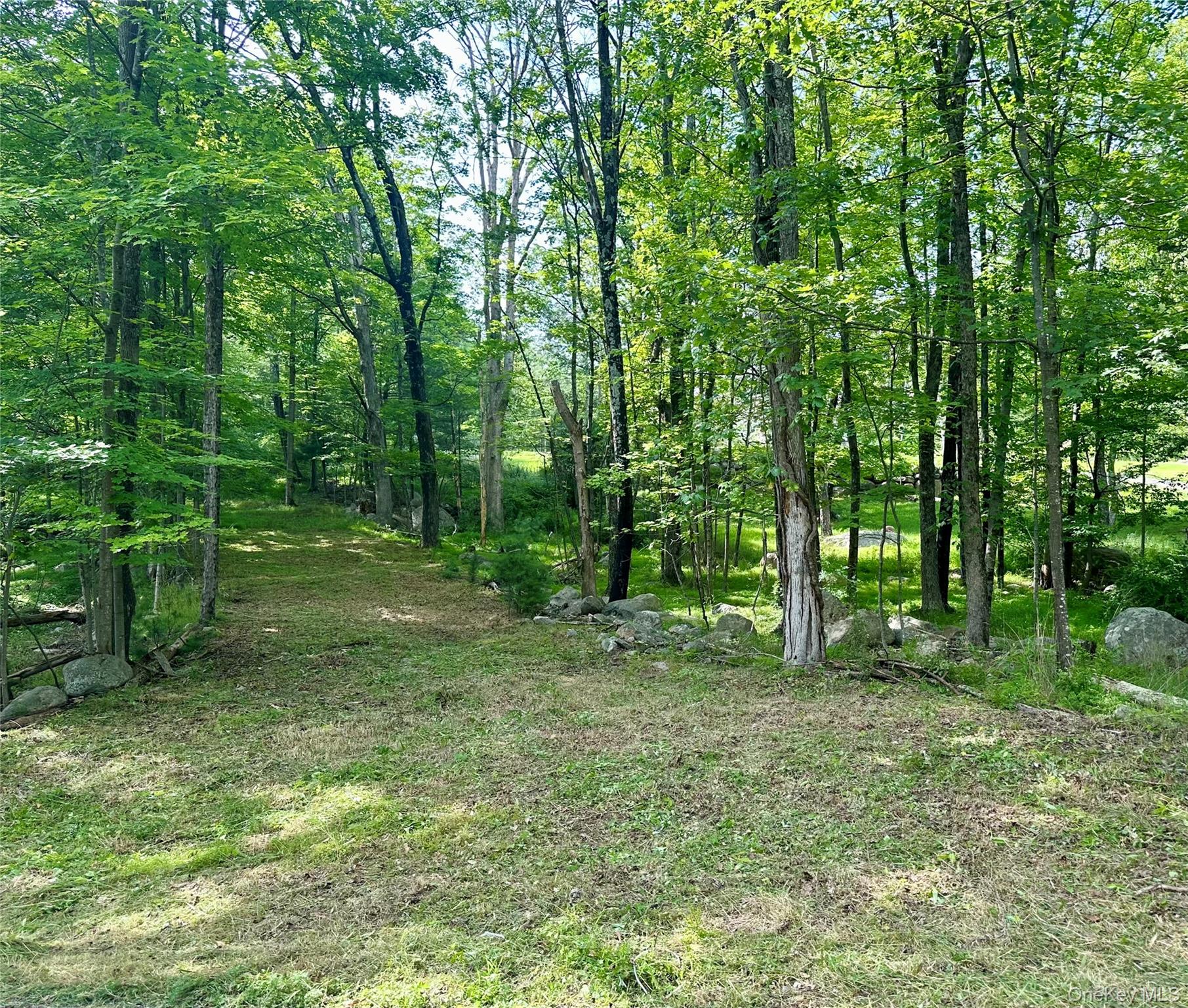 287 Church Road Pine Bush, NY 12566 - Photo 8 of 9 a view of outdoor space with trees