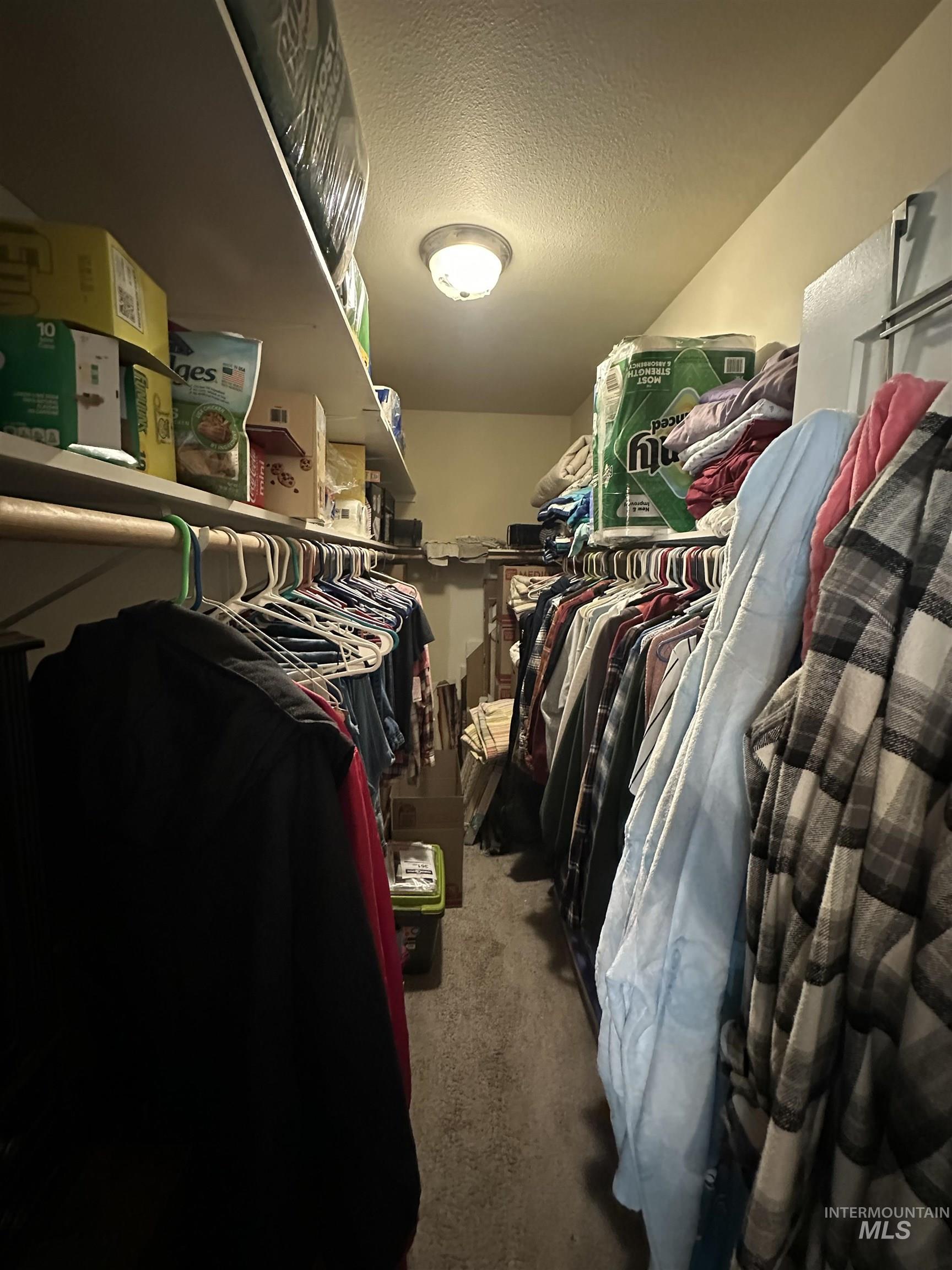 2859 Luke's Gulch Road Stites, ID 83552 - Photo 19 of 48 Walk in closet with dark colored carpet
