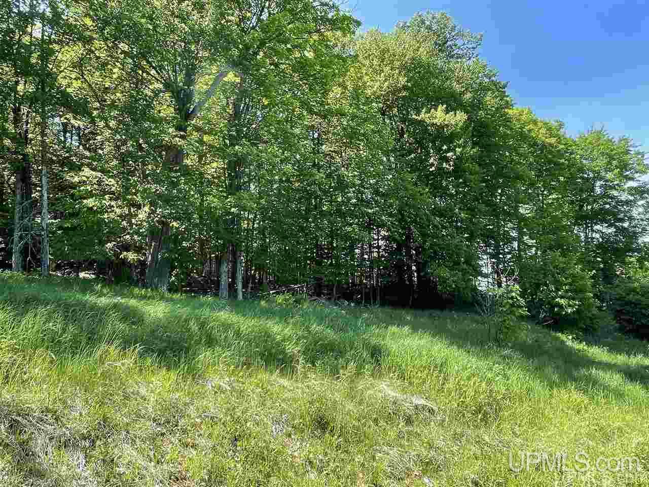 Tbd Tbd Northwoods Road Marquette, MI 49855 - Photo 12 of 31