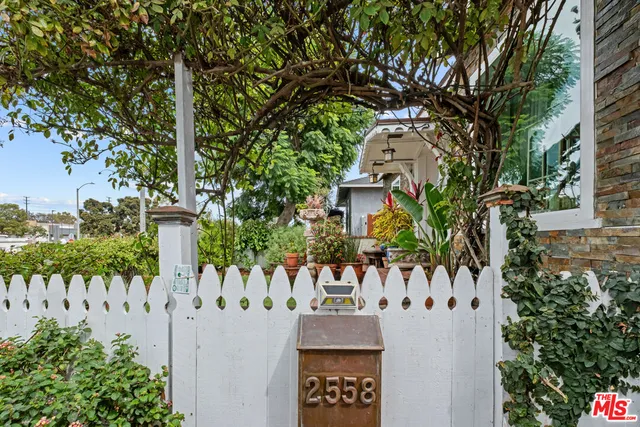 a white house that has tree in front of it
