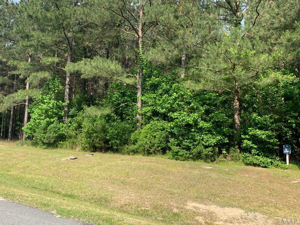 293 Riversound Drive Edenton, NC 27932 - Photo 11 of 11