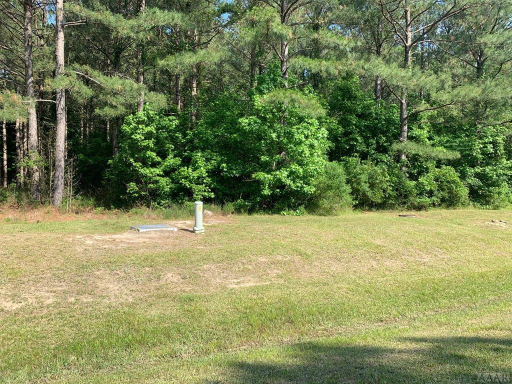 293 Riversound Drive Edenton, NC 27932 - Photo 4 of 11