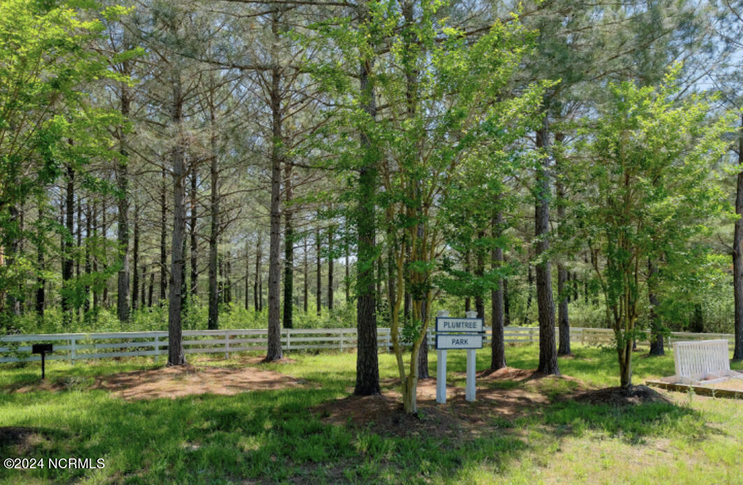 293 Riversound Drive Edenton, NC 27932 - Photo 7 of 11 IMG_0442