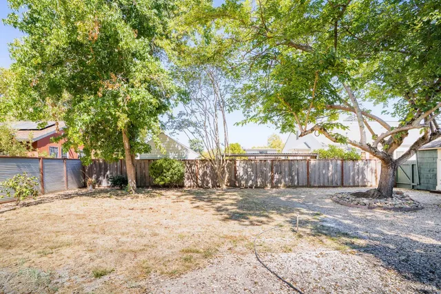 a view of a yard with a tree