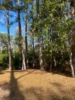 $29,000 | Lot 7 Kate Street, Hammond, LA 70401