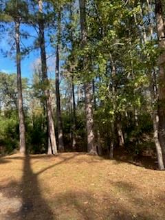 Lot 7 Kate Street Hammond, LA 70401 - Photo 1 of 9