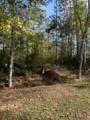 Lot 7 Kate Street Hammond, LA 70401 - Photo 2 of 9