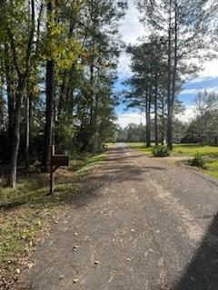 Lot 7 Kate Street Hammond, LA 70401 - Photo 3 of 9