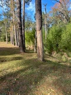 Lot 7 Kate Street Hammond, LA 70401 - Photo 4 of 9