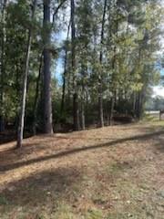 Lot 7 Kate Street Hammond, LA 70401 - Photo 5 of 9