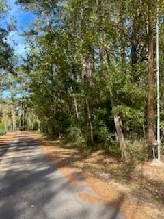 Lot 7 Kate Street Hammond, LA 70401 - Photo 6 of 9
