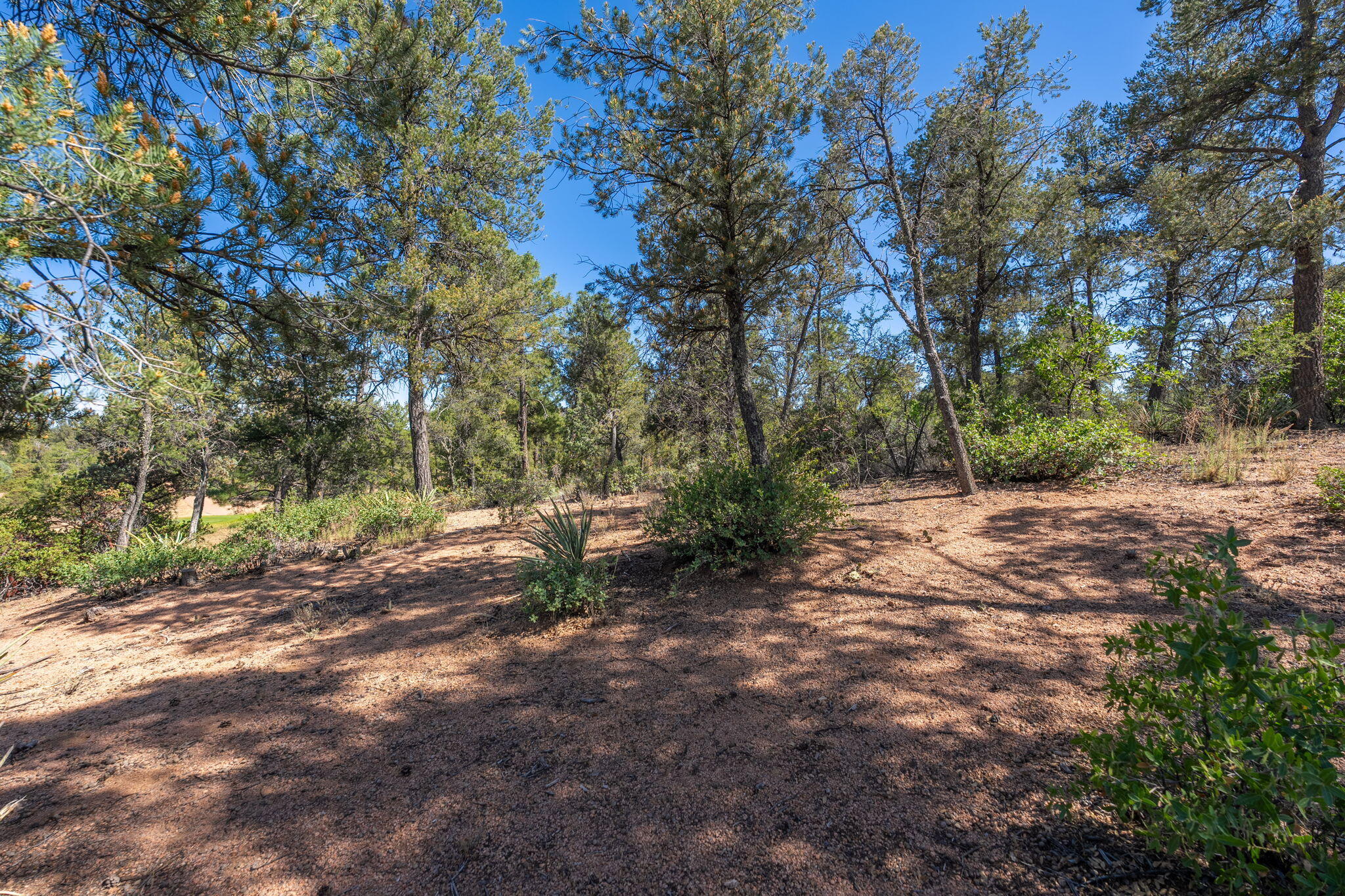 506 South Primeval Payson, AZ 85541 - Photo 29 of 48