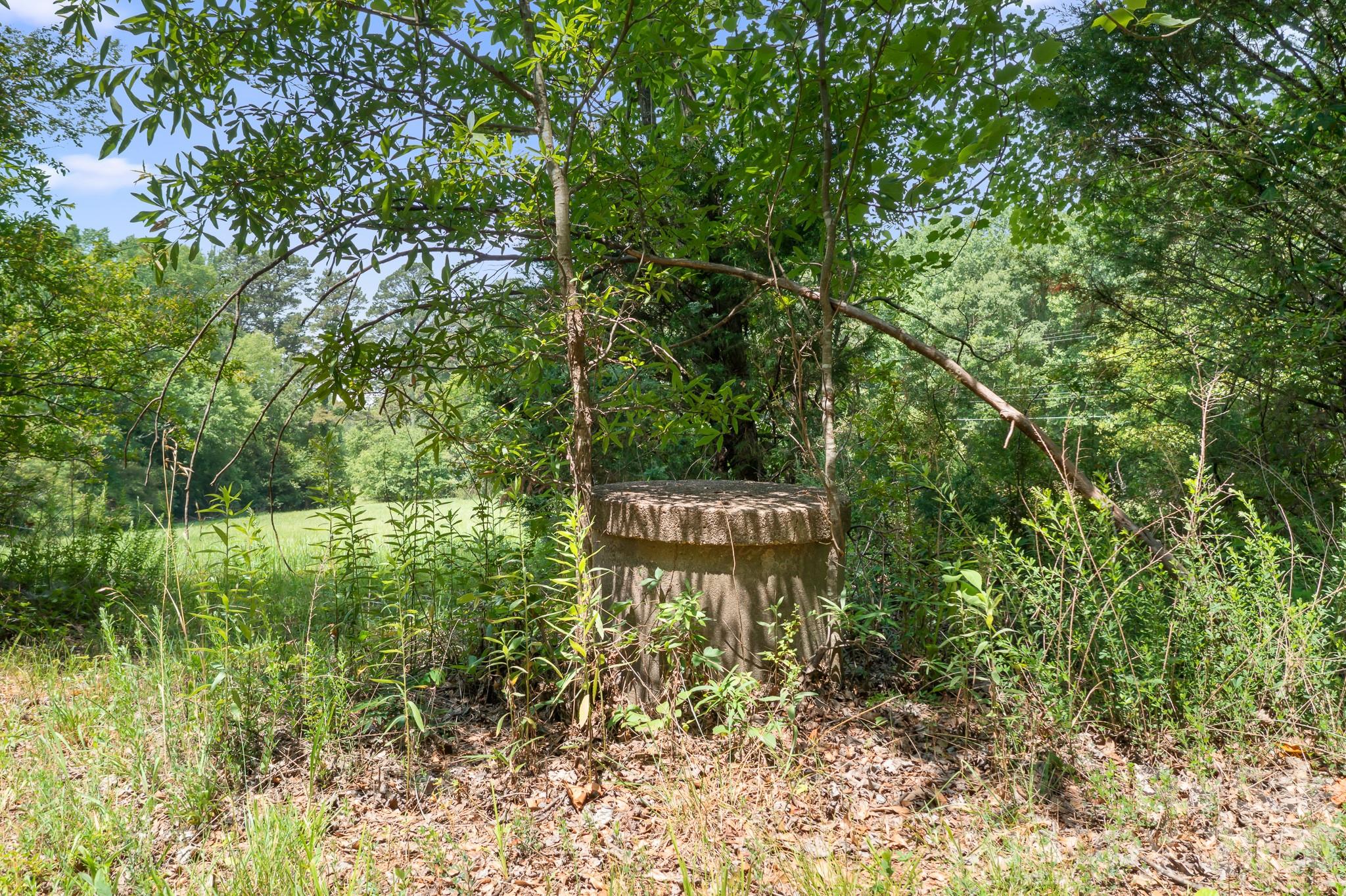 4351 Lookout Dam Road Catawba, NC 28609 - Photo 7 of 14