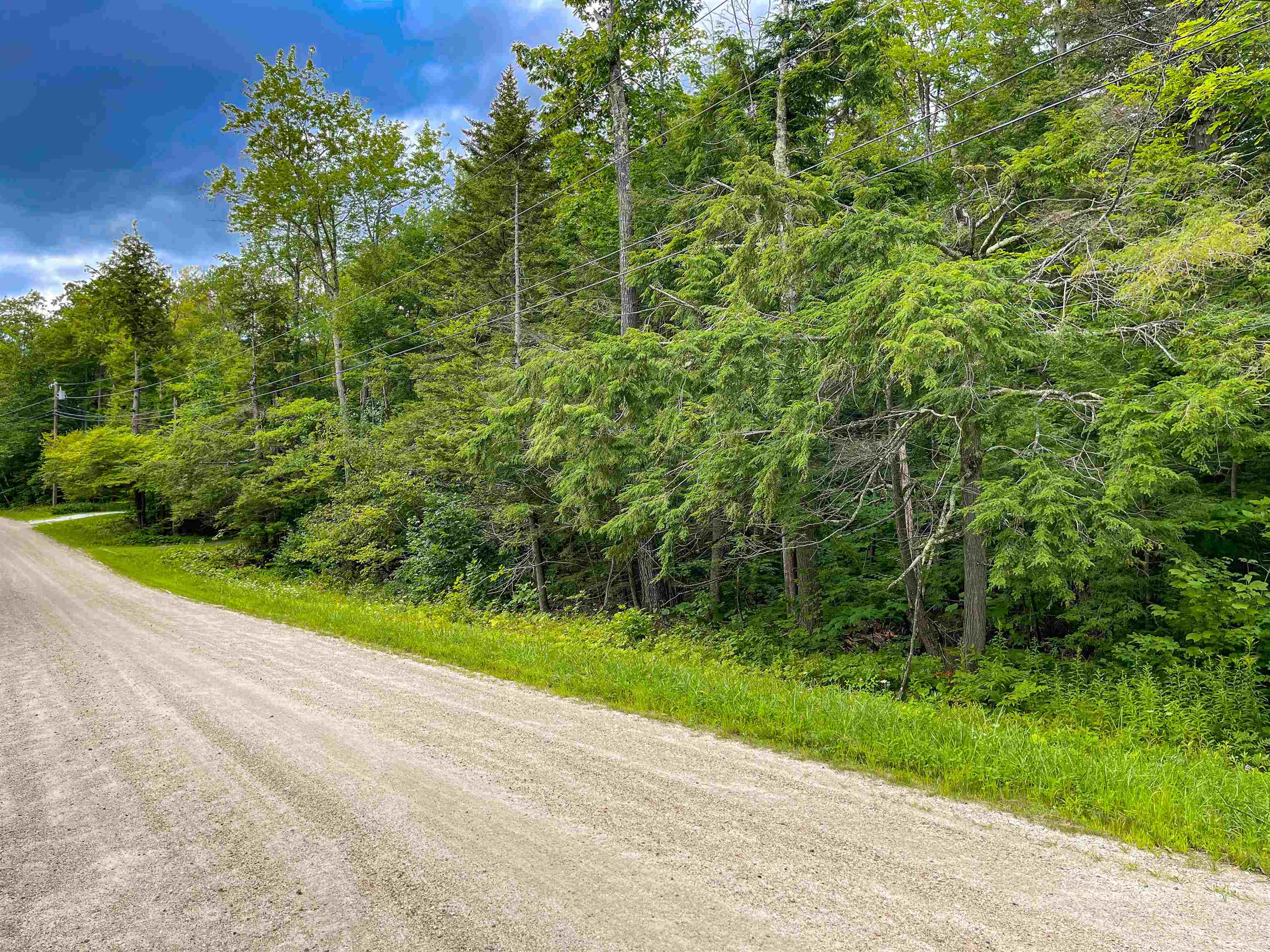 0 Deep Woods Road, Unit LOT #18 Manchester Center, VT 05255 - Photo 3 of 3 Gallery Image 3