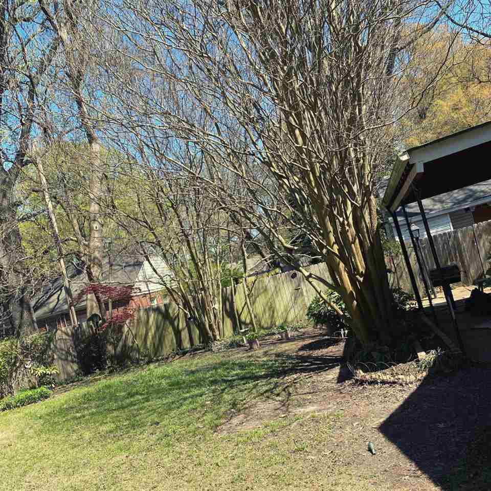 4770 Willow Road Memphis, TN 38117 - Photo 19 of 19