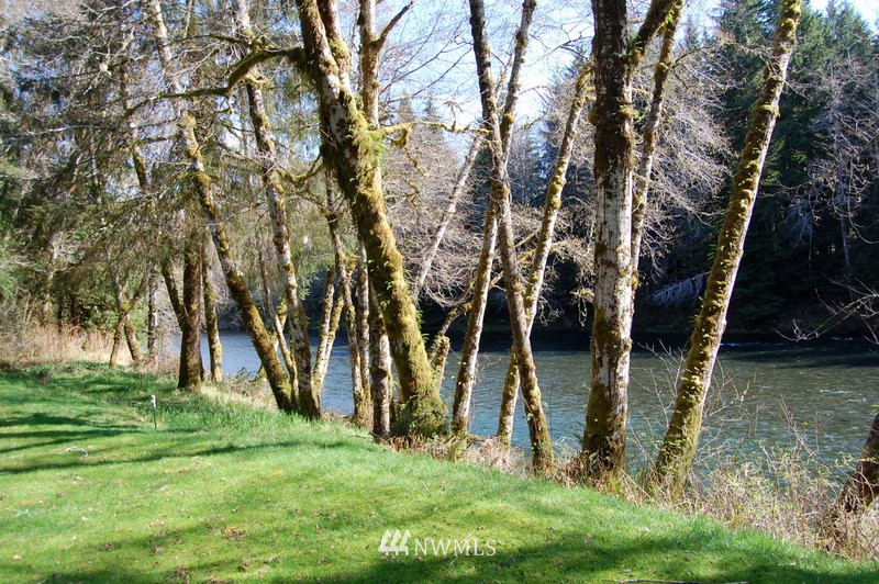507 Quillayute Road Forks, WA 98331 - Photo 6 of 14 Gallery Image 6