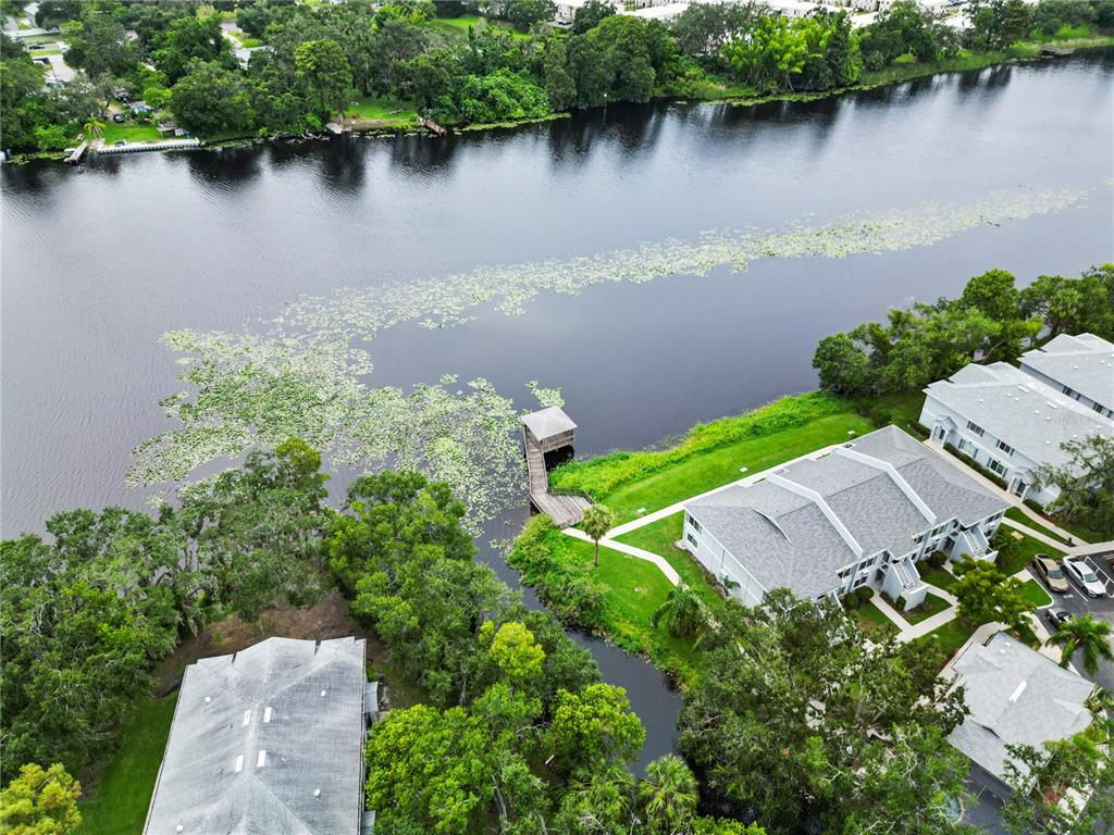 4120 Gradstone Place Tampa, FL 33617 - Photo 15 of 16