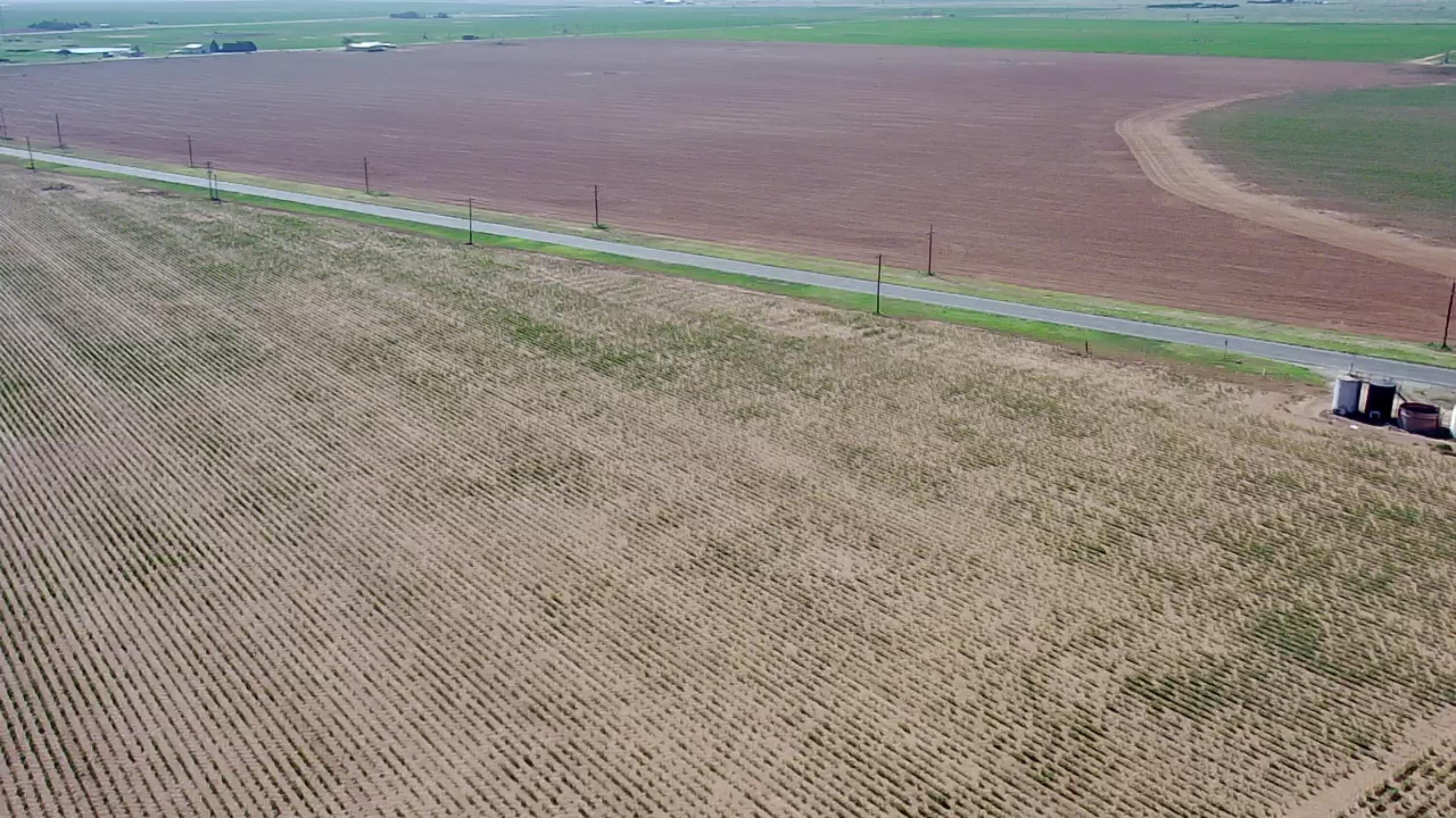 Tx-83 Welch, TX 79377 - Photo 2 of 16 a view of a backyard