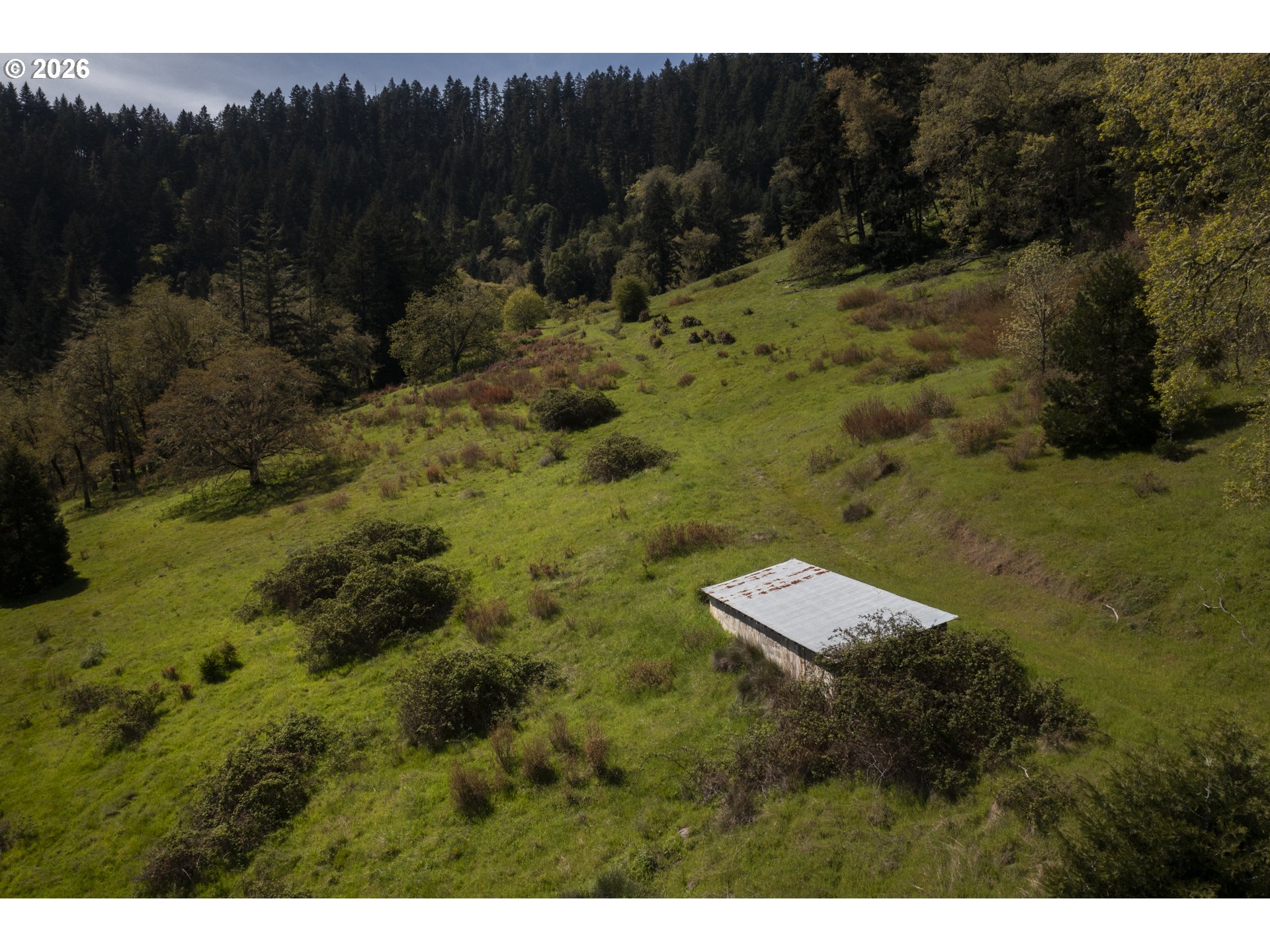 1349 Willis Creek Road Winston, OR 97496 - Photo 46 of 48