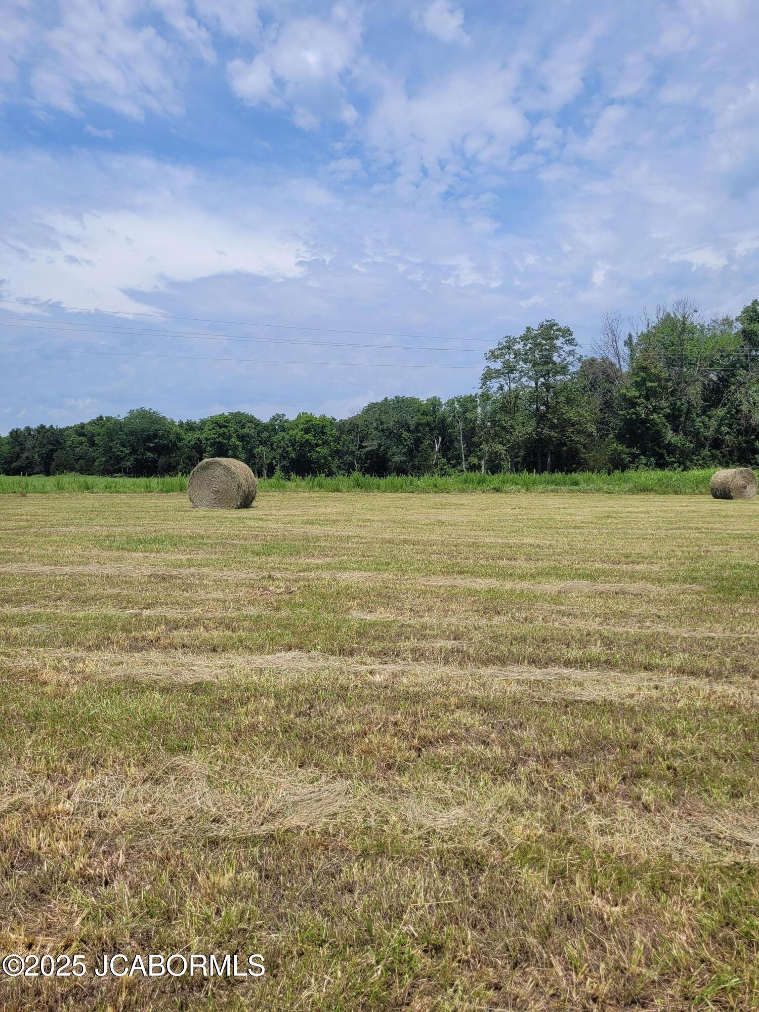 Lot 3 Co Road Flemington, MO 65650 - Photo 3 of 8