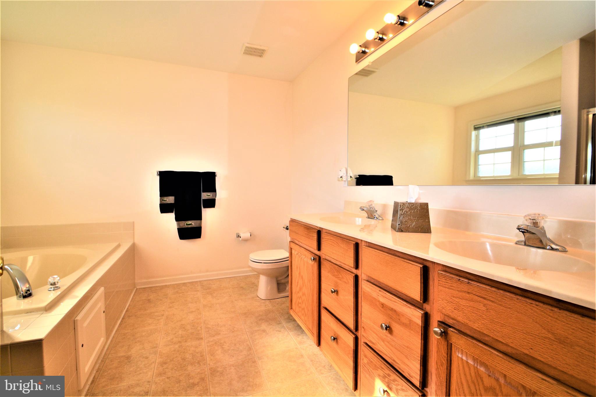 176 Gravelly Run Branch Road Clayton, DE 19938 - Photo 37 of 52 a bathroom with a sink a toilet and a tub