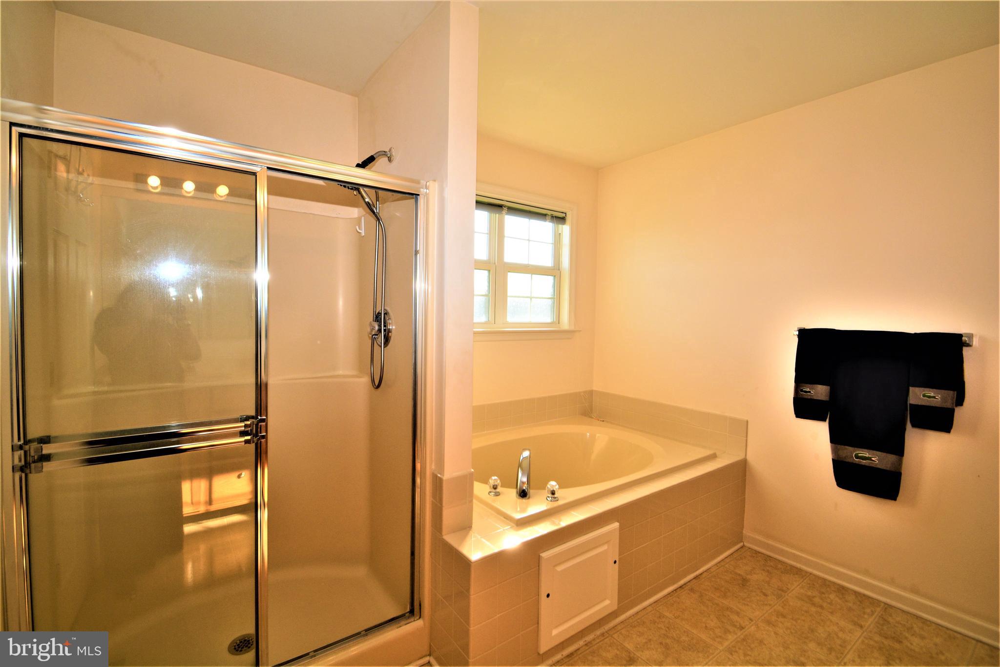 176 Gravelly Run Branch Road Clayton, DE 19938 - Photo 38 of 52 a bathroom with a tub and a shower