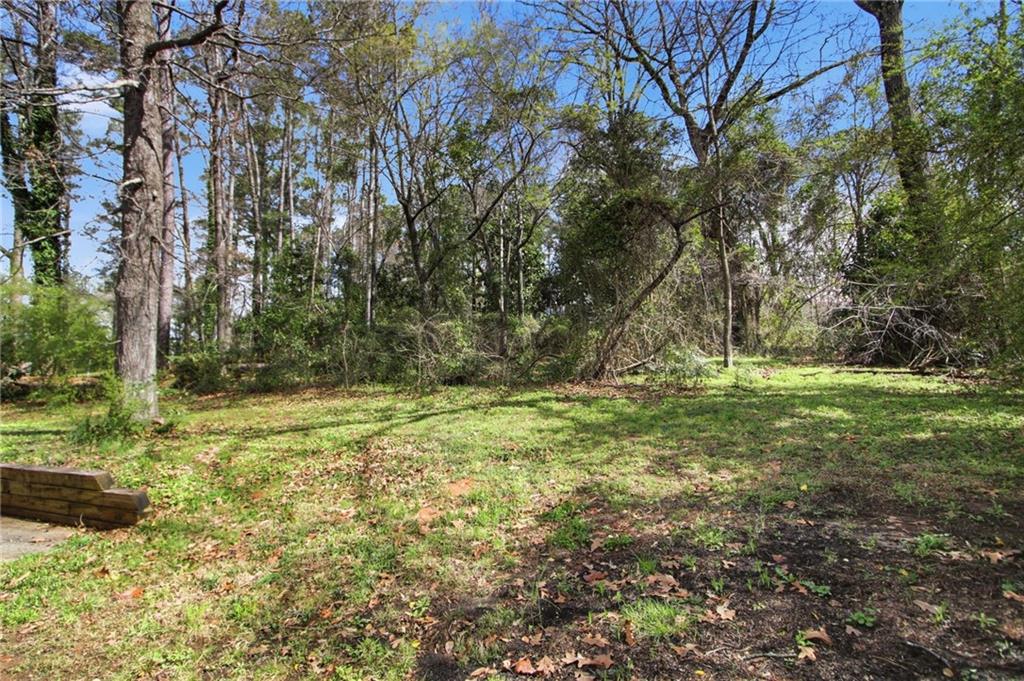 2366 Flint Rock Road Southwest Stone Mountain, GA 30087 - Photo 38 of 40 a view of outdoor space with trees