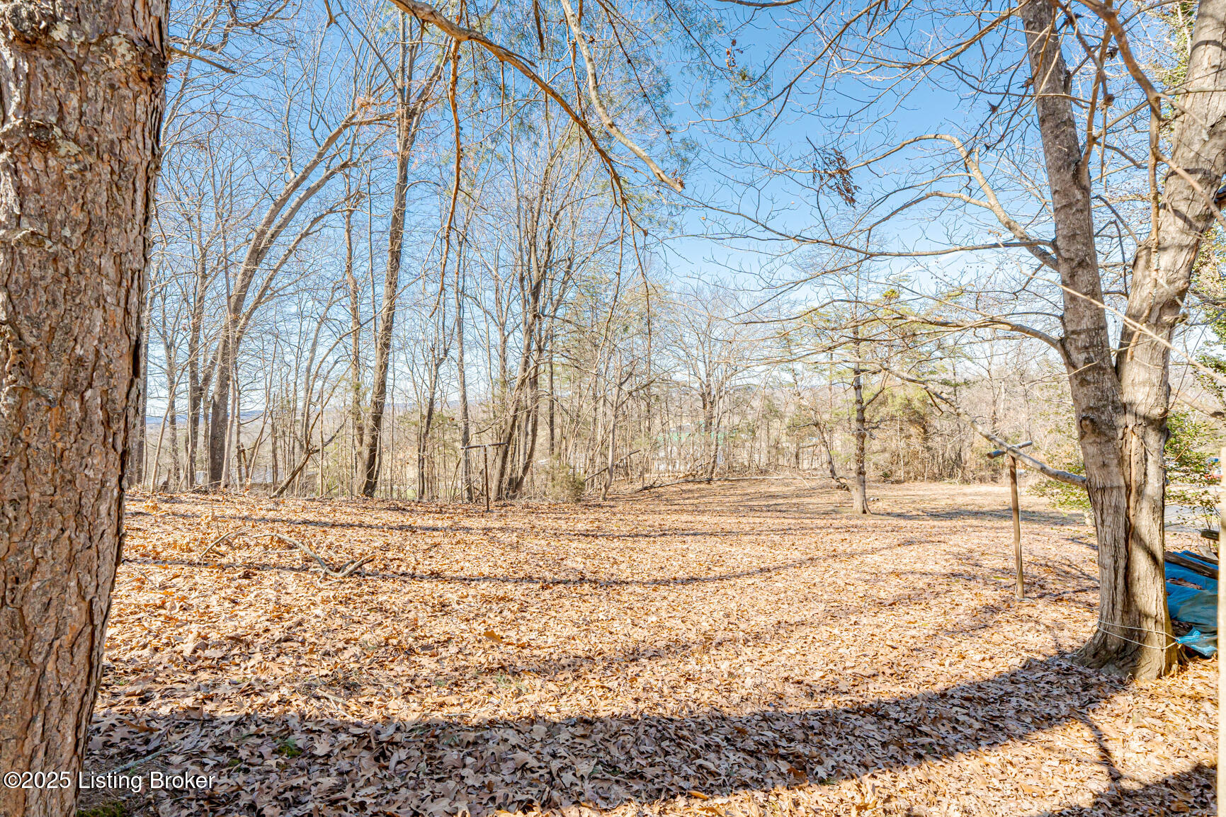 585 Foley Road Shepherdsville, KY 40165 - Photo 57 of 78 DSC00335