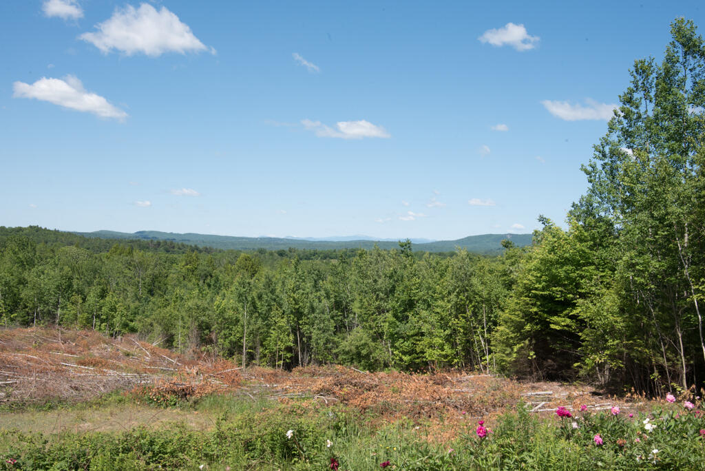 20 Cobble Hill Road South Paris, ME 04281 - Photo 33 of 40 DSC_0508