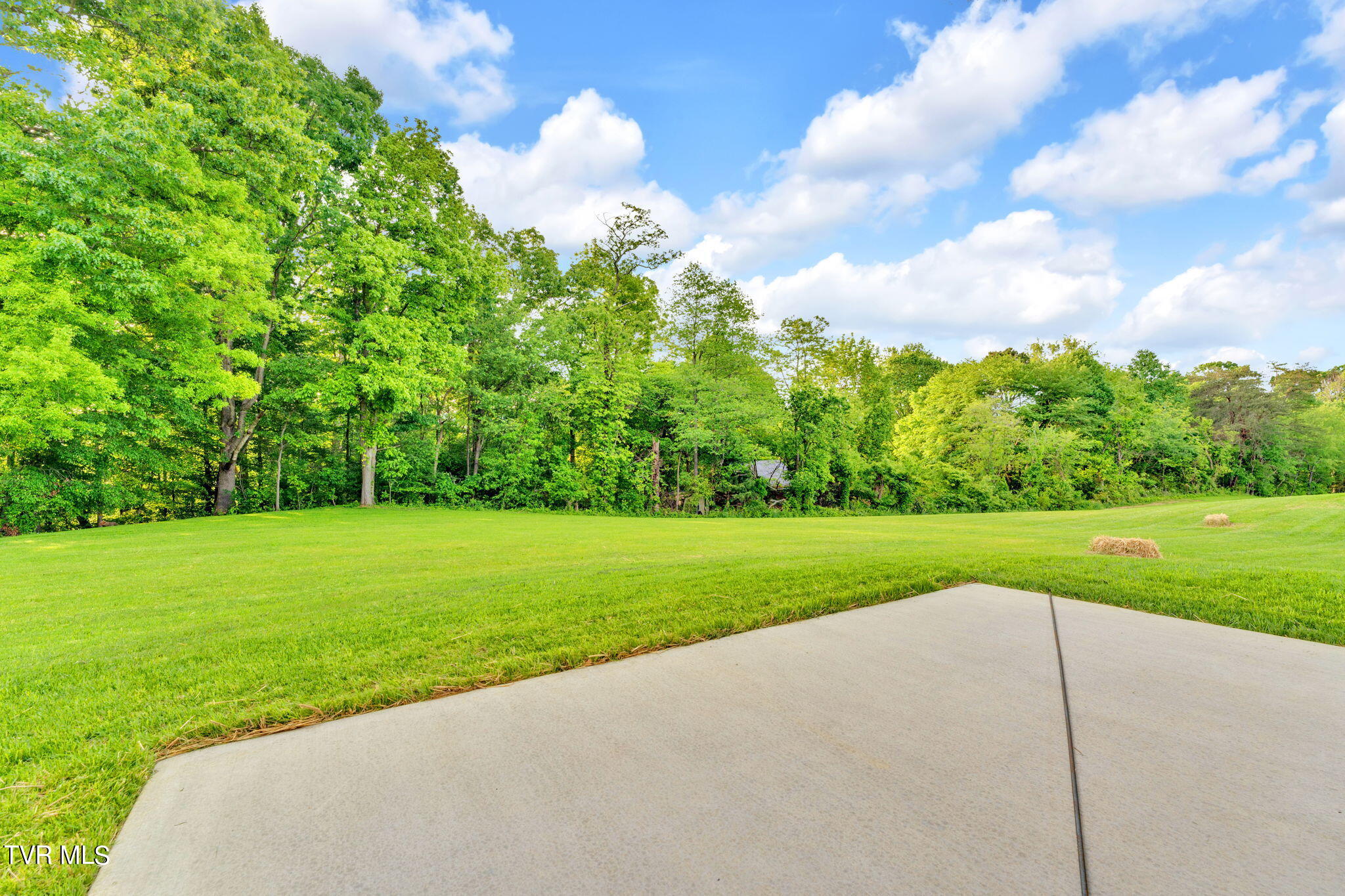 583 Ridgecrest Road Jonesborough, TN 37659 - Photo 39 of 46 48-web-or-mls-DSC02924