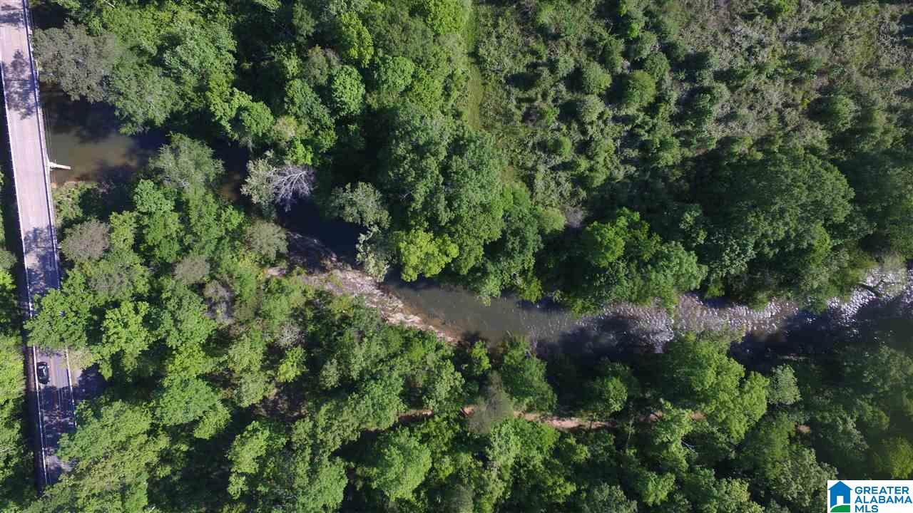 180 Blackburn Ridge Circle Cleveland, AL 35049 - Photo 36 of 36