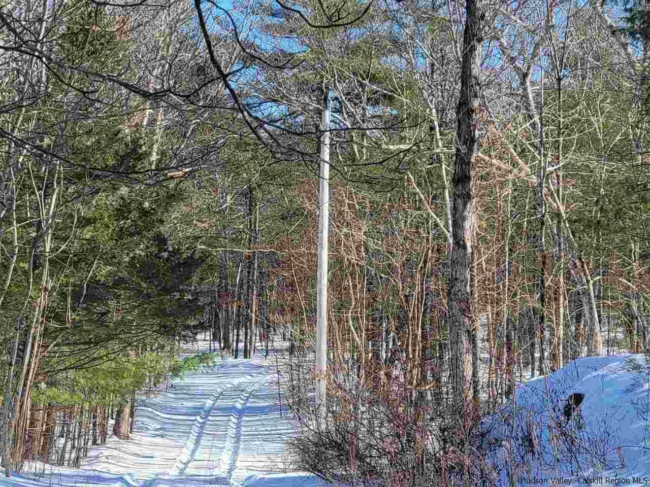 James Road Catskill, NY 12414 - Photo 1 of 4 a backyard of a house with lots of green space