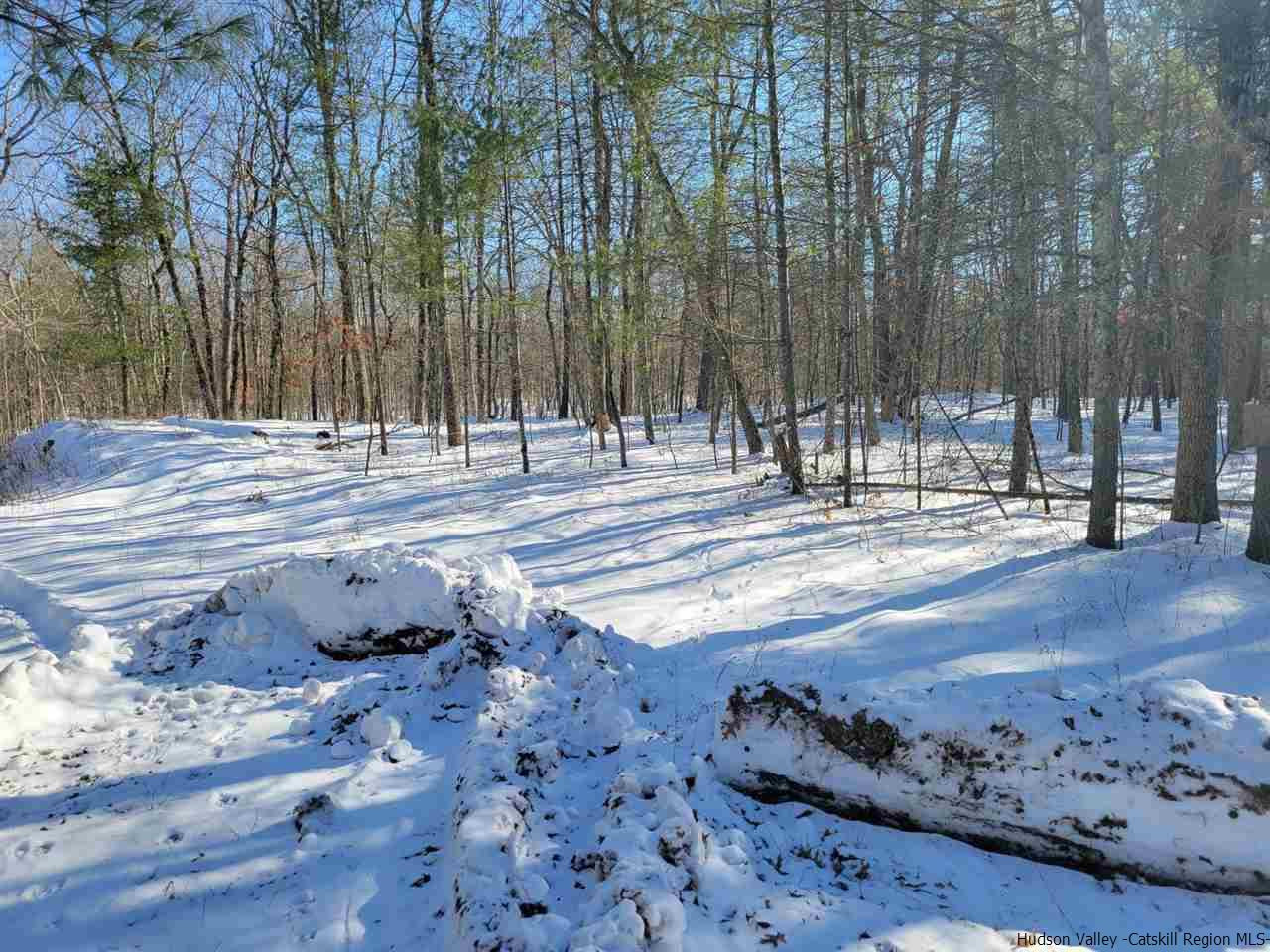 James Road Catskill, NY 12414 - Photo 2 of 4 a view of a yard with trees