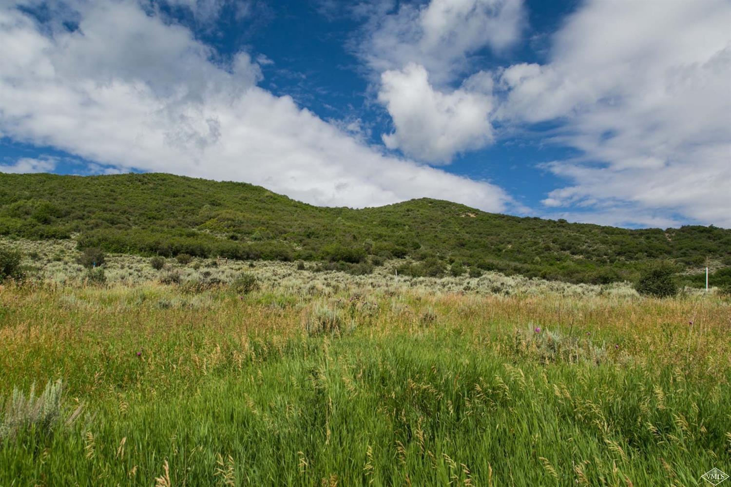36 Squires Lane Eagle, CO 81631 - Photo 3 of 6 a view of a lush green space with sea