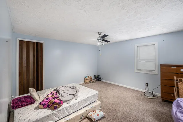 $215,000 | 115 South Sherman Street, Sheridan, MI 48884