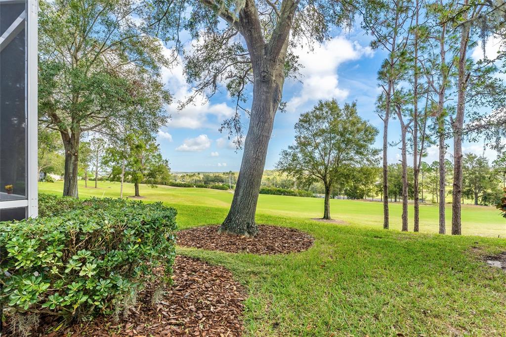 3984 Beacon Ridge Way Clermont, FL 34711 - Photo 36 of 59 Backyard with view of Golf Course