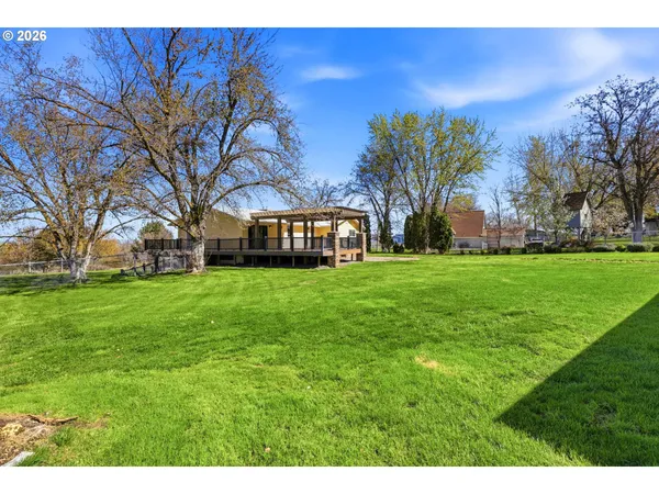 a view of an house with backyard and a tree