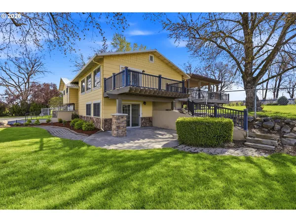 a view of a yard with plants and trees