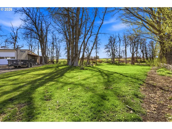 a view of a garden with an outdoor space