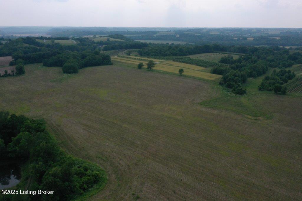 10001 Bloomfield Road Springfield, KY 40069 - Photo 15 of 19 DJI_0314