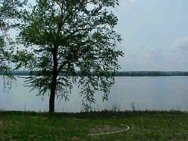 6648 Riverview Road Thomson, IL 61285 - Photo 5 of 8 a view of a yard