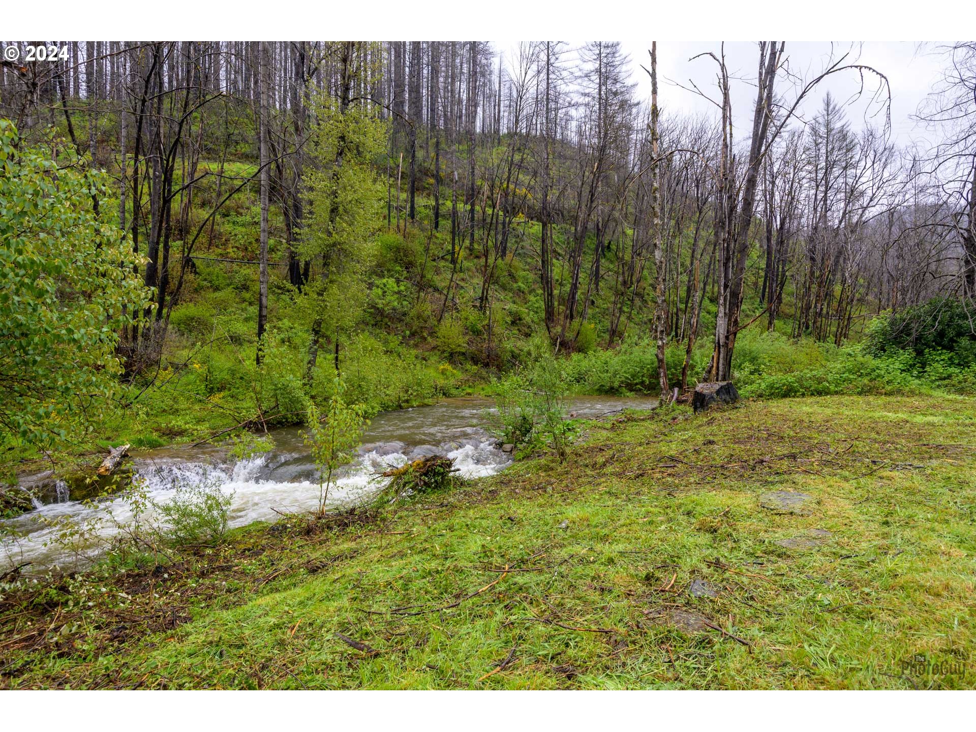 46734 Goodpasture Road Vida, OR 97488 - Photo 1 of 30 Gallery Image 1