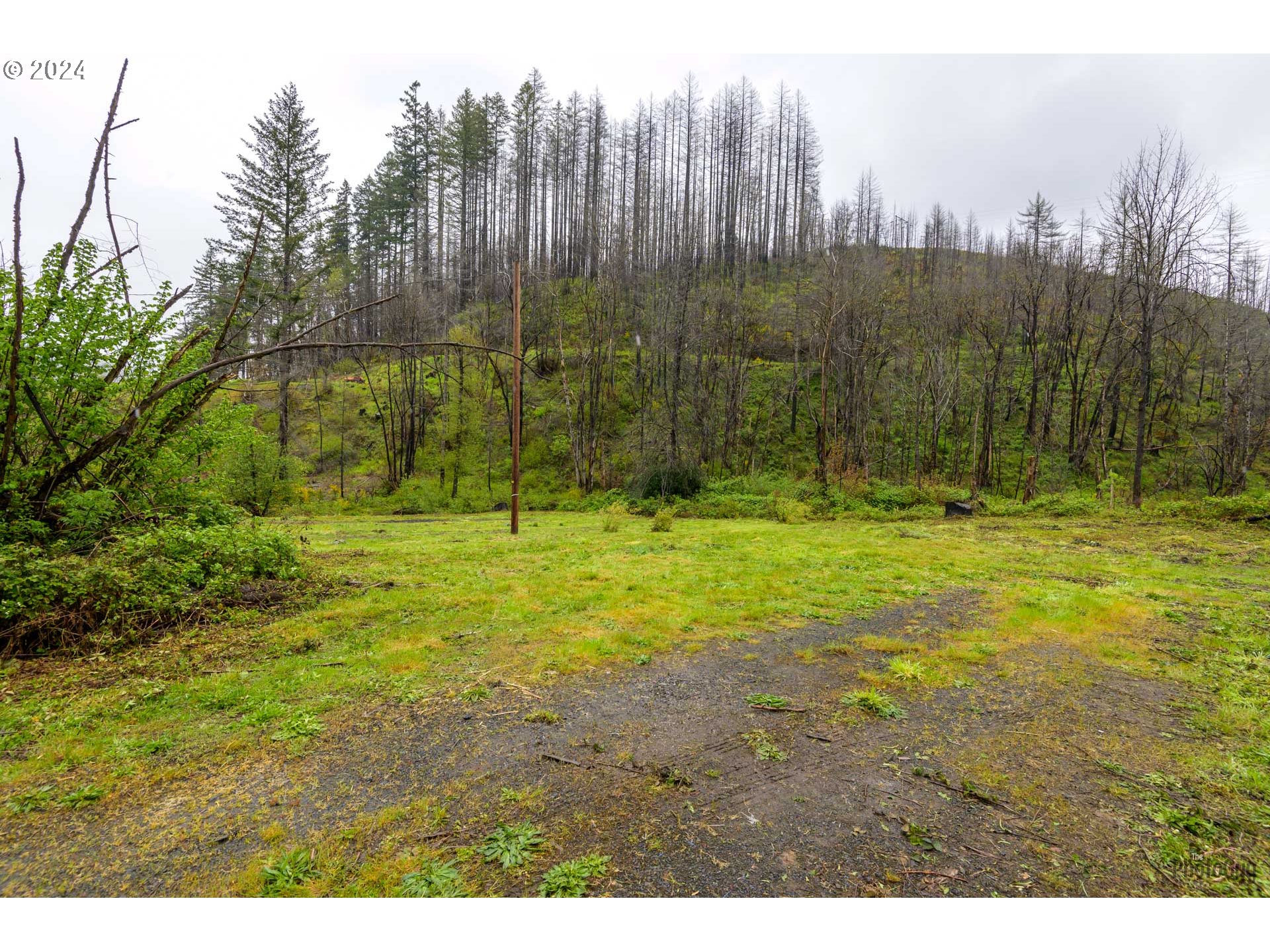 46734 Goodpasture Road Vida, OR 97488 - Photo 6 of 30 Gallery Image 6